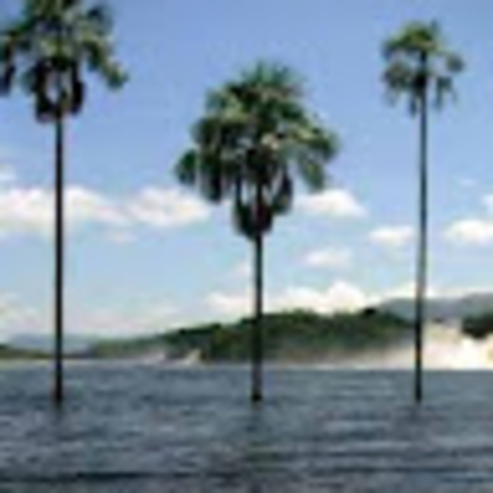 Meet your Posher, Carlos